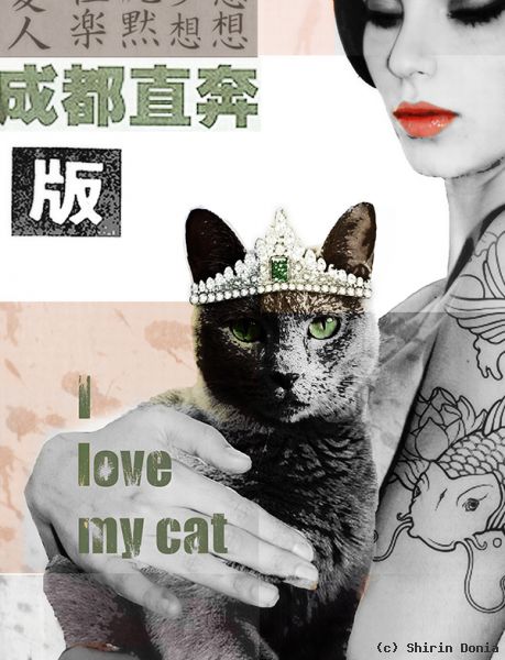 my beloved cat my beloved cat